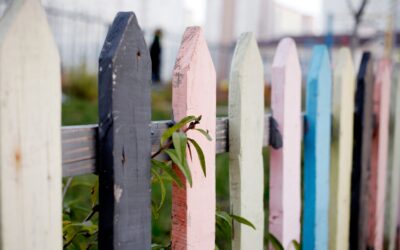 Kako postaviti zdrave meje v osebnem in poslovnem življenju