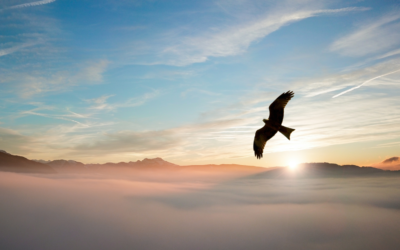 Odkrij svoj polet spremembe z NLP